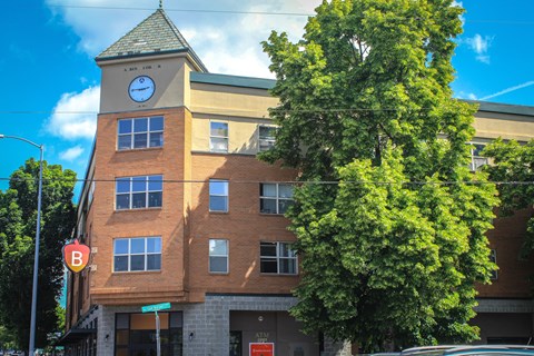 A building with a clock tower and a tree in front of it.