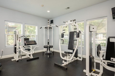 A well-equipped home gym with various exercise machines.