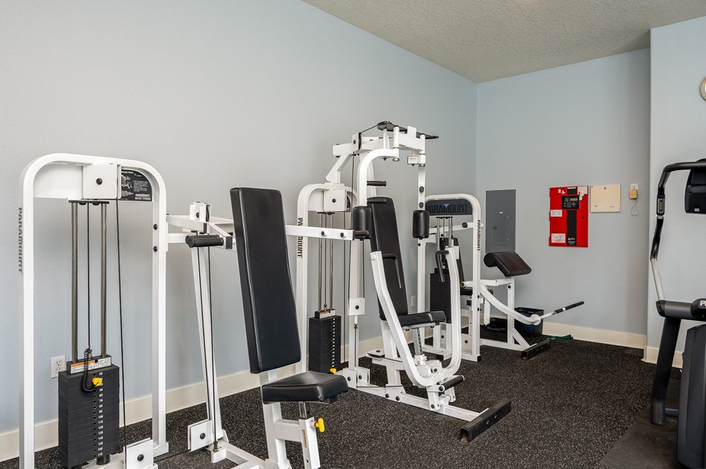 A gym with a variety of equipment including a leg press machine, a chest press machine, a leg curl machine, a leg extension machine, a seated calf raise machine, a seated leg raise machine, a seated leg curl