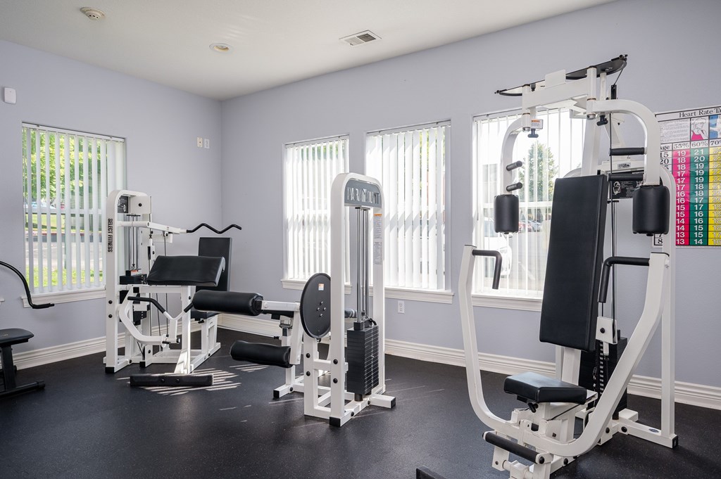 A gym with a variety of equipment including a leg press machine, a chest press machine, and a weight bench.