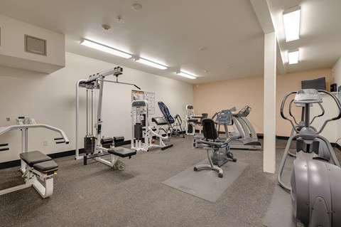 A gym with a variety of equipment including a treadmill, weights, and a stationary bike.