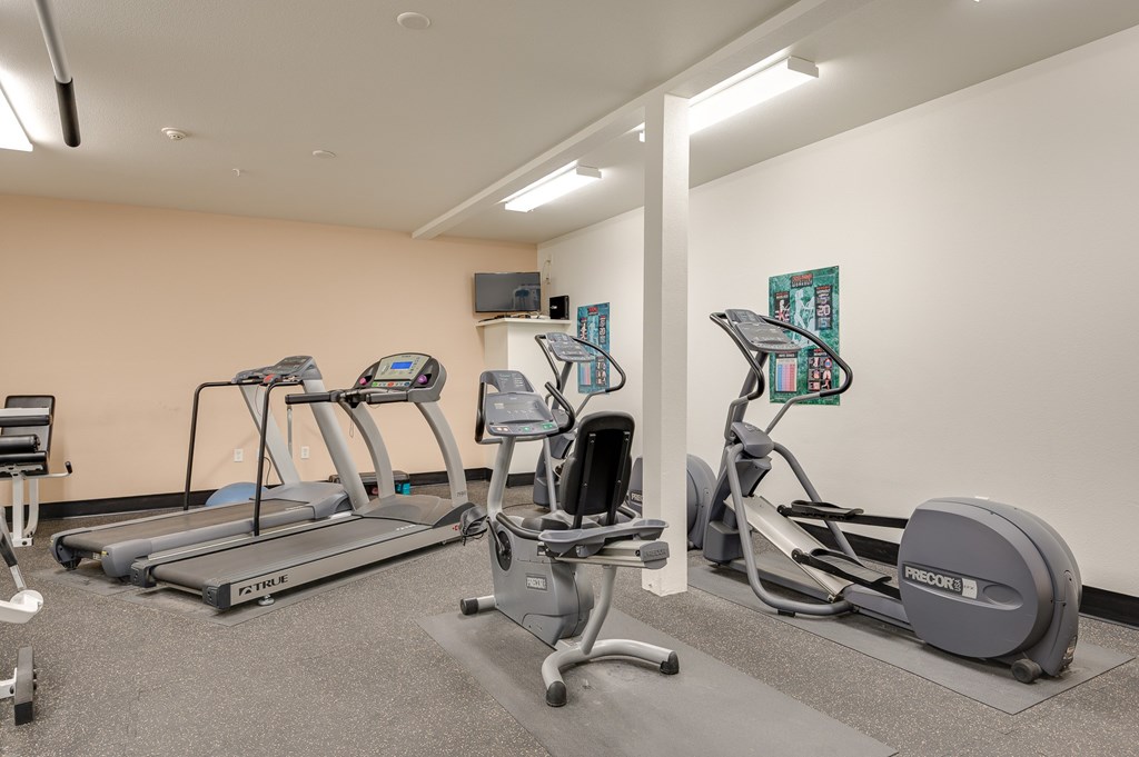 A gym with treadmills, elliptical machines, and a stationary bike.