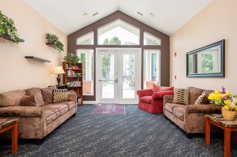 A living room with a couch, chair, and a potted plant.