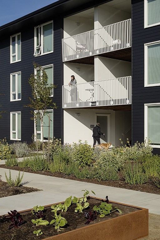 A woman is walking her dog on a balcony.