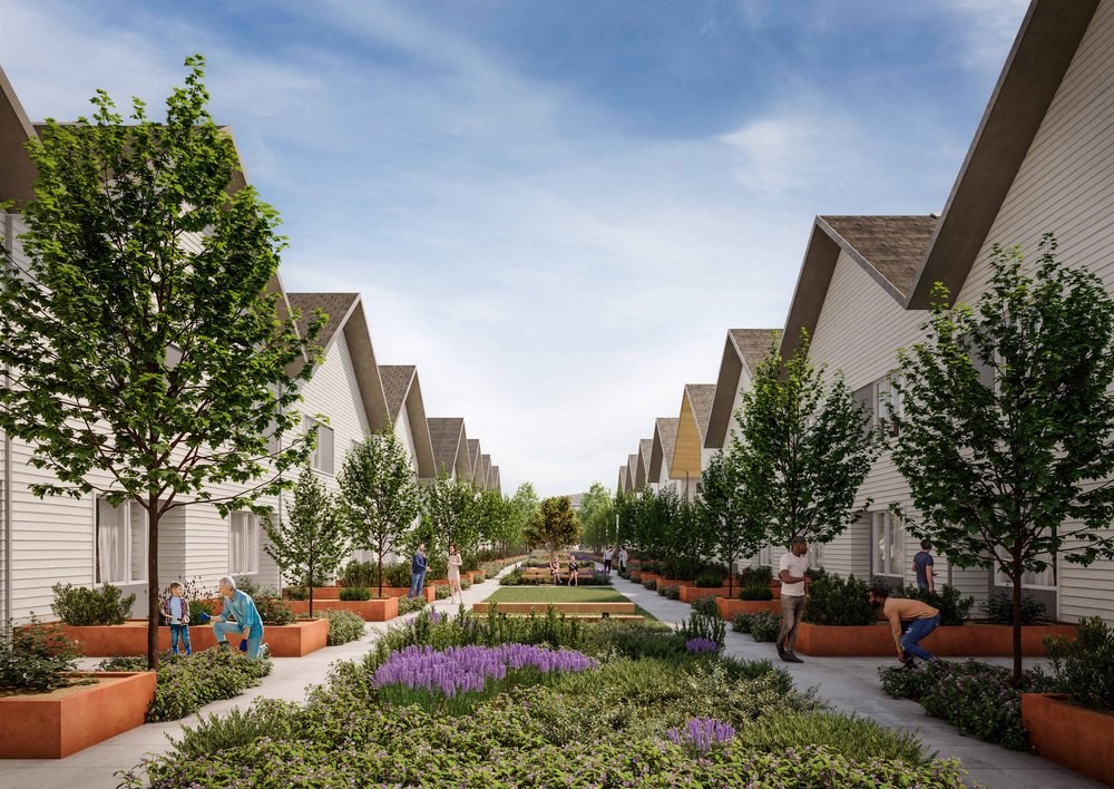 Broadleaf Arbor Rendering