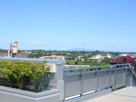 A view from a rooftop with a bridge in the distance.