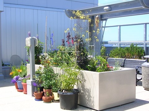 A large planter box with many different plants in it.