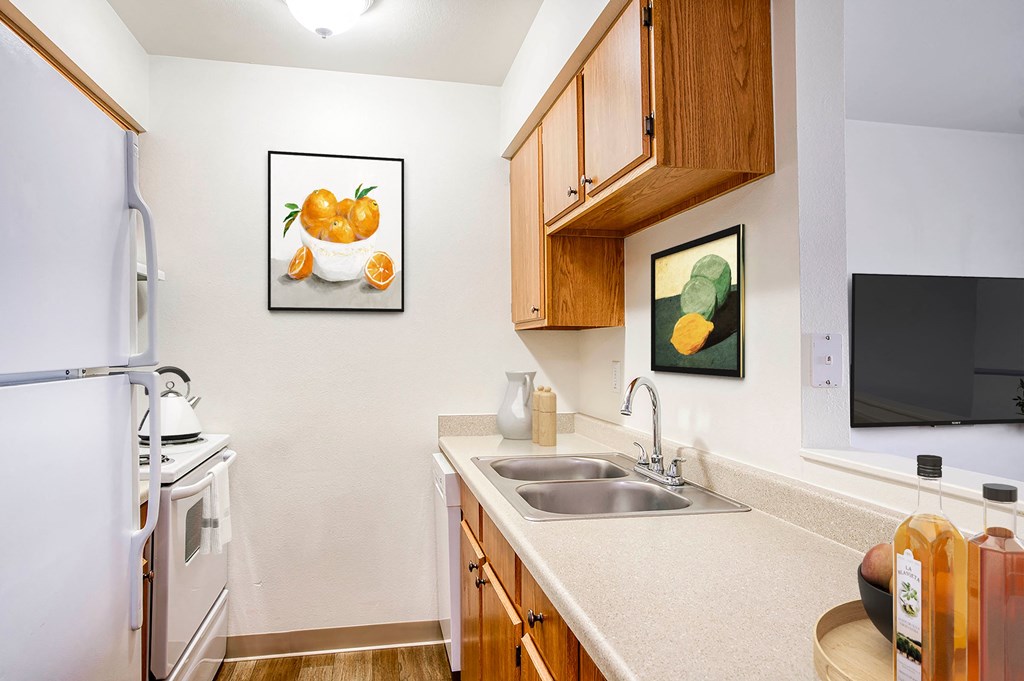 a kitchen with a sink and a stove and a refrigerator