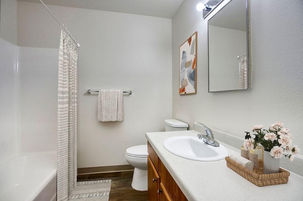 a bathroom with a sink and a toilet and a shower