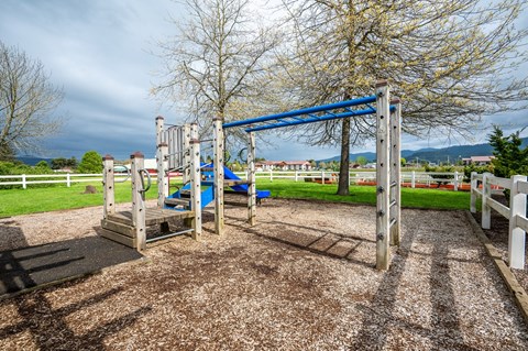 CP Playground