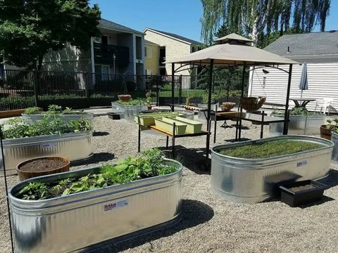 A garden with raised beds and a table with chairs is set up in a backyard.