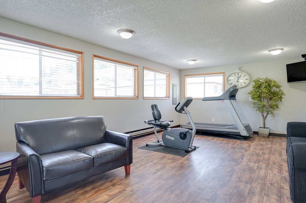A living room with a couch, a treadmill, and a television.