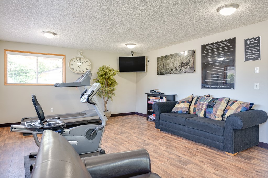 A living room with a couch, a treadmill, a chair, and a plant.