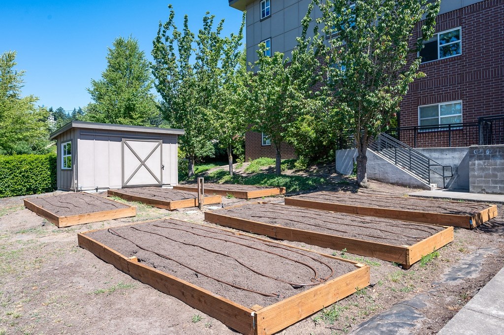 Terrace at Mount Scott_Community Garden