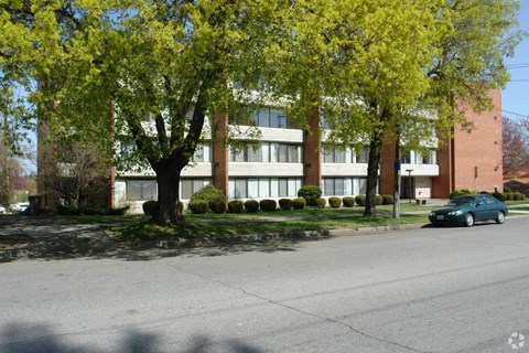 A tree with yellow leaves is in front of a building.