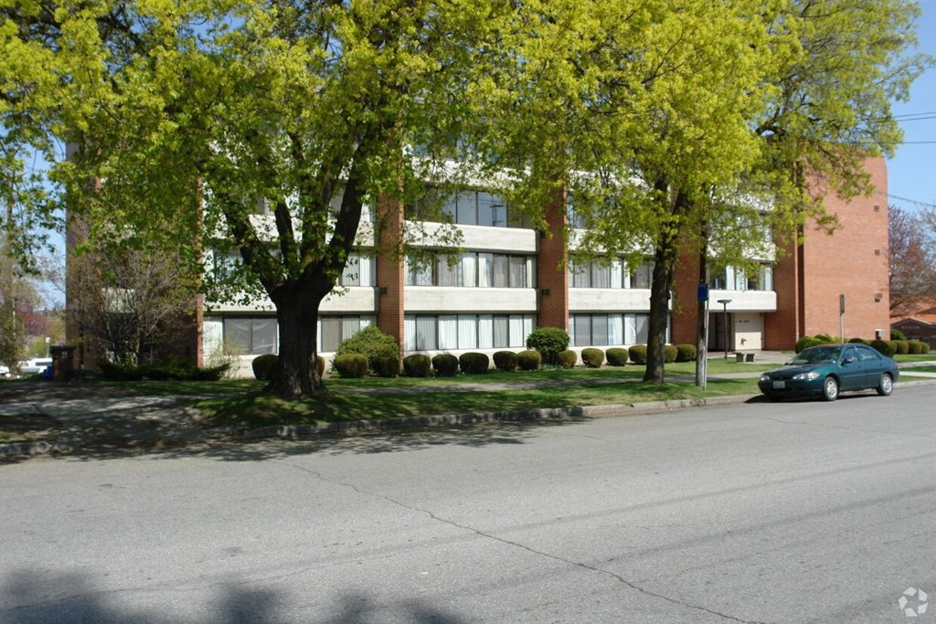 A tree with yellow leaves is in front of a building.