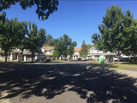 A residential street with houses on both sides and trees in the foreground.