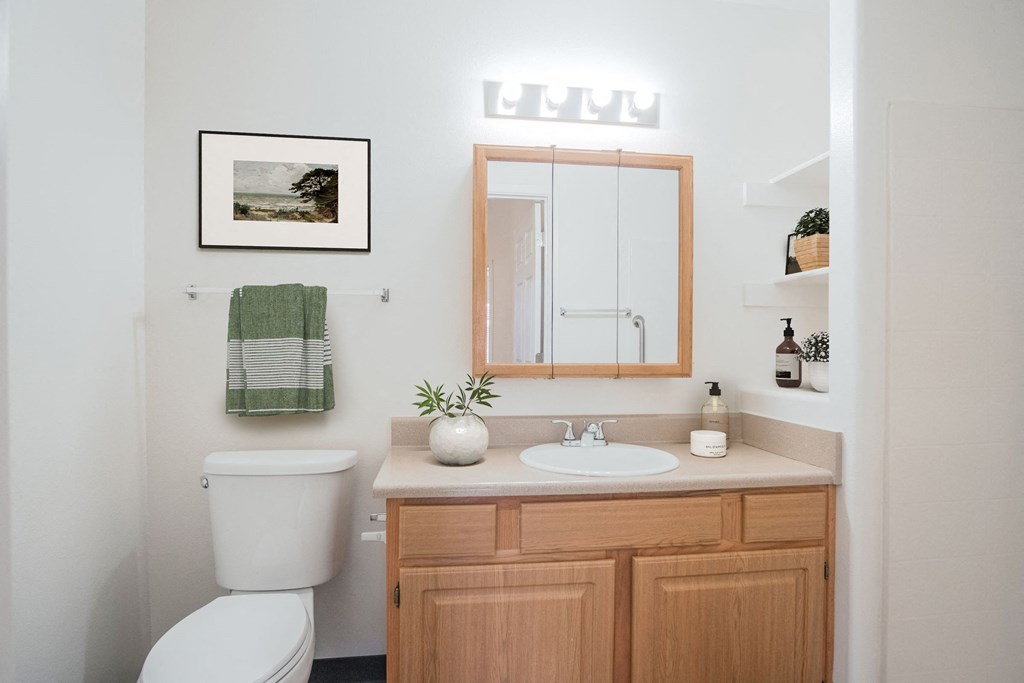 a bathroom with a sink and a mirror and a toilet
