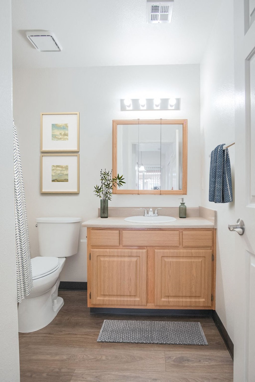 a bathroom with a sink and a toilet and a mirror