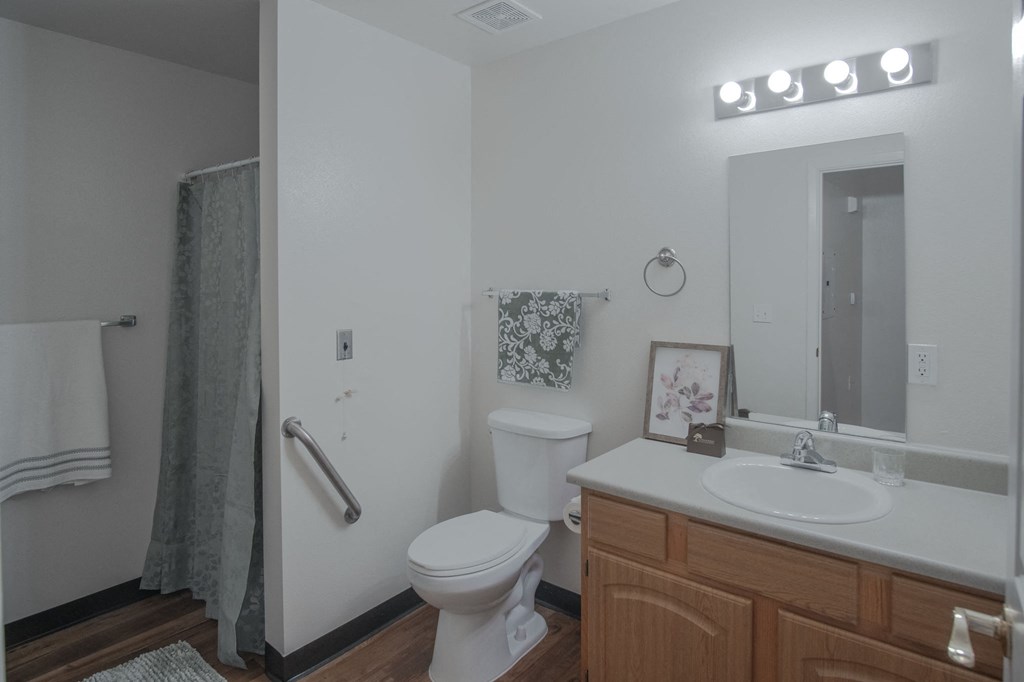a bathroom with a toilet sink and mirror and a shower