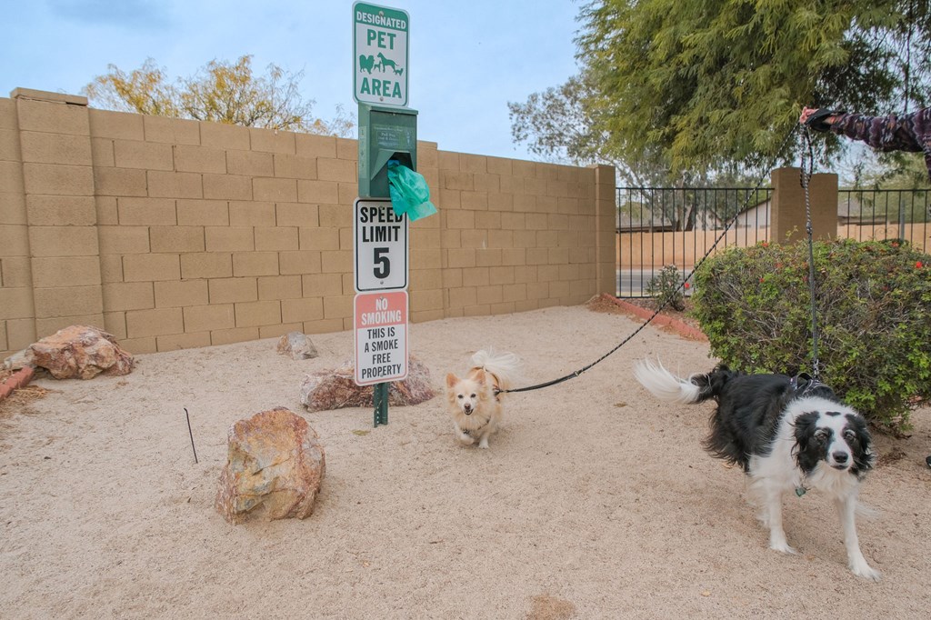two dogs on a leash standing next to a parking meter