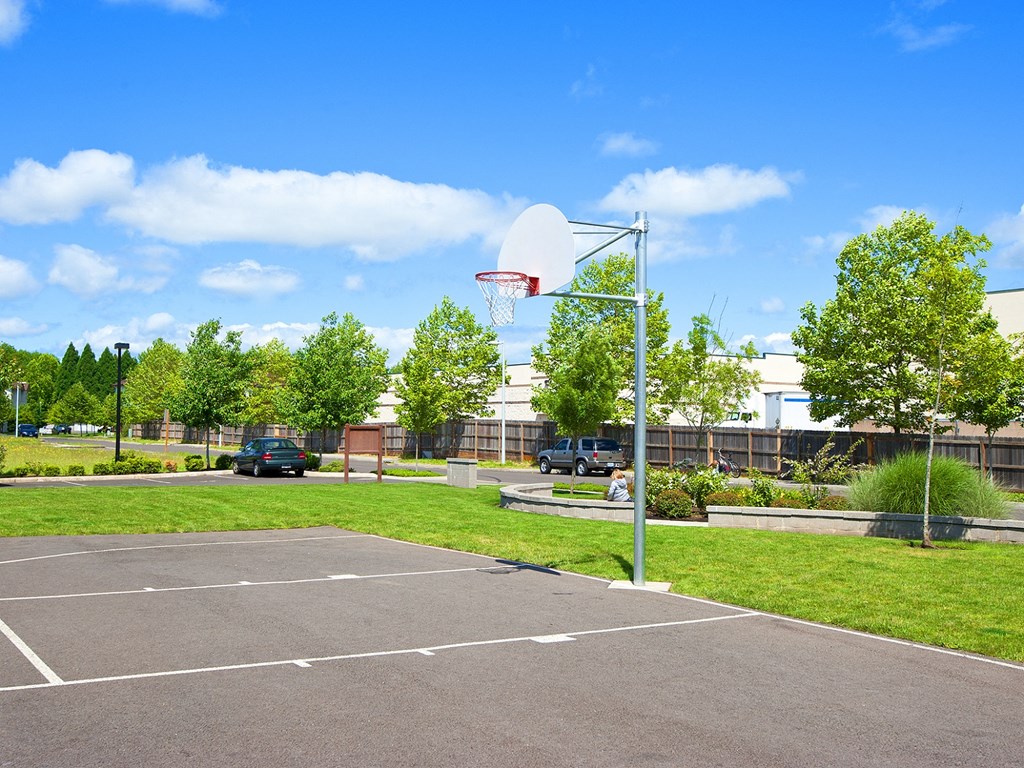 Prairie View Basketball Court