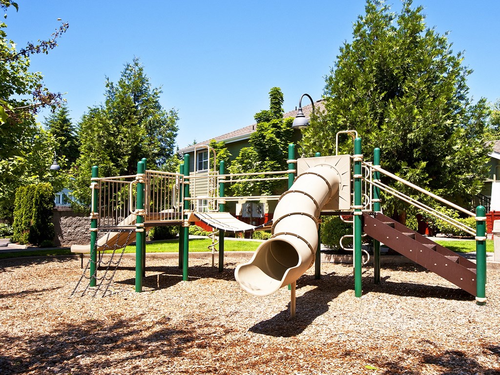 Green Leaf_Playground