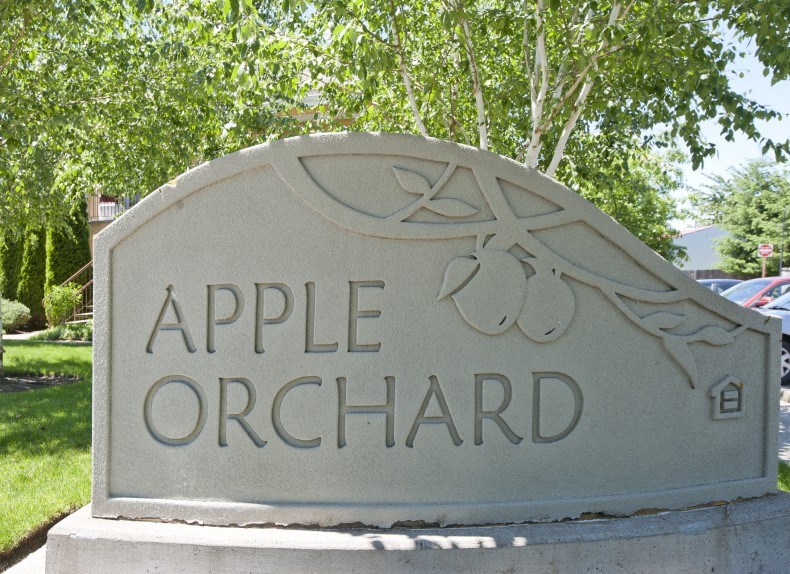 Apple Orchard
