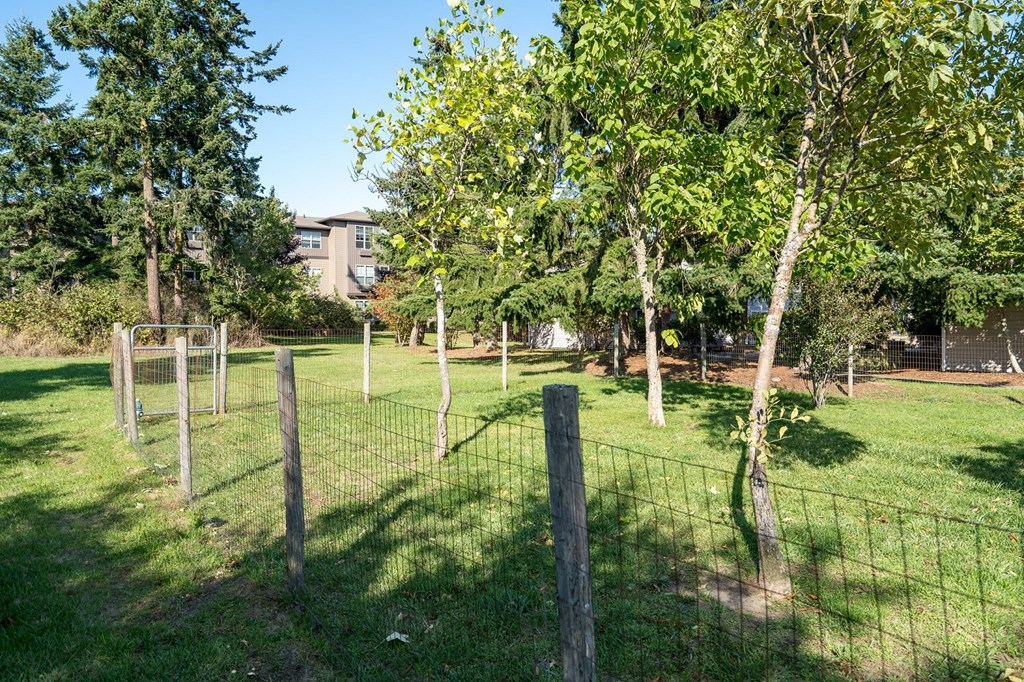 Discovery View Pet Relief Area