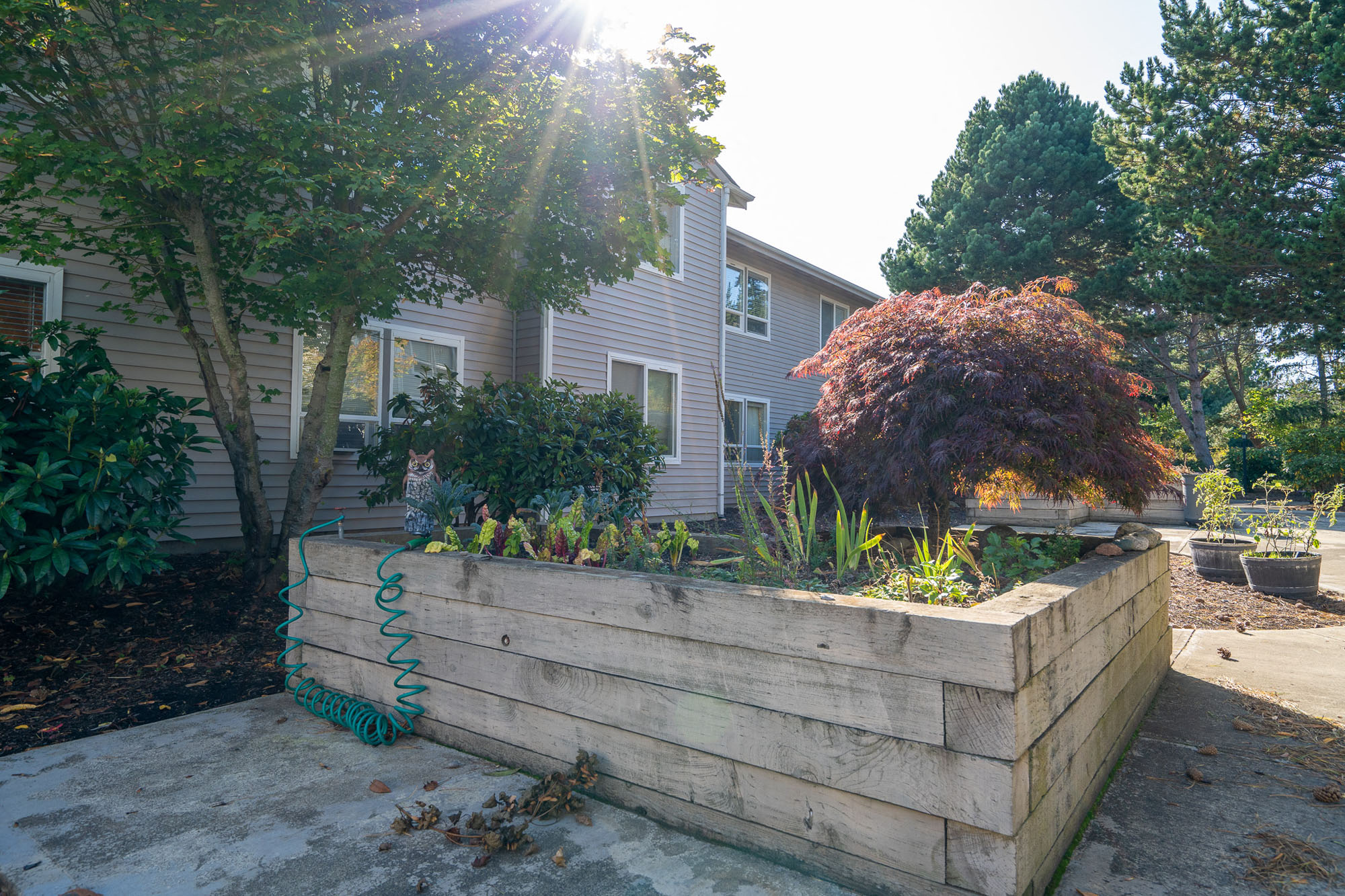 DiscoveryView_Photo_gardenBed