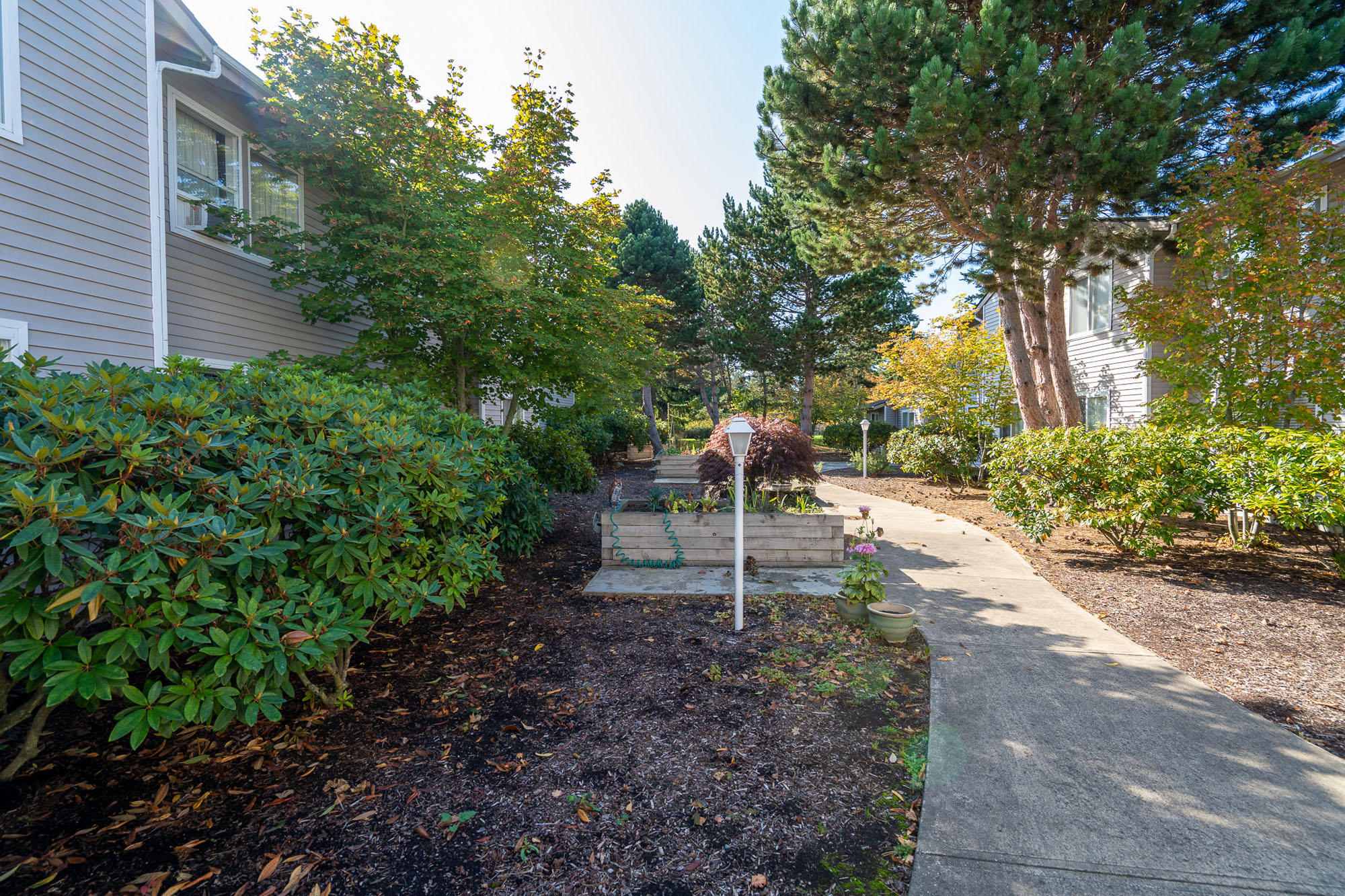 DiscoveryView_Photo_Sidewalk