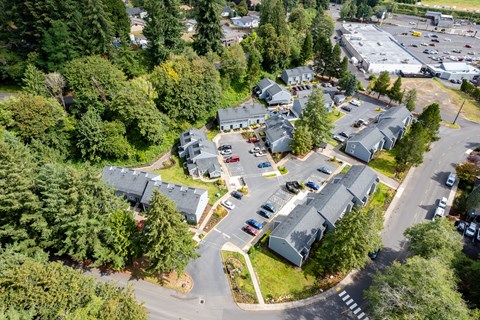 an aerial view of a neighborhood with houses and trees