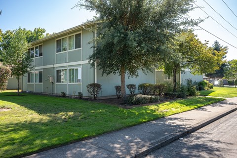 A tree in front of a two-story building.