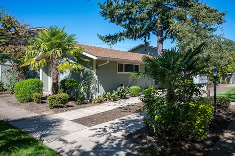 A house with a driveway and a tree in front.