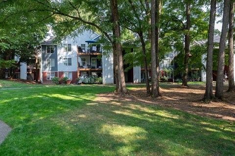 A tree-lined pathway leads to a modern apartment building.