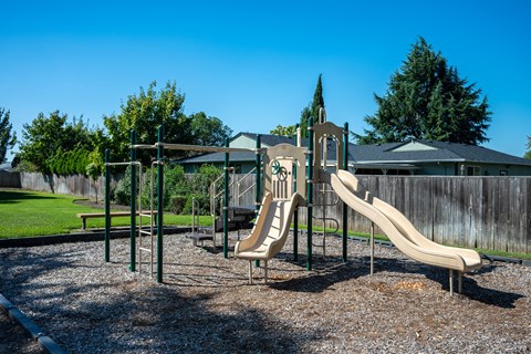 A playground with a slide and a swing set.