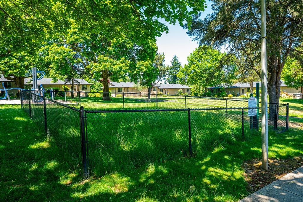 A green grassy area with a fence and trees.