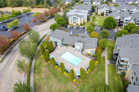 A bird's eye view of a residential area with a swimming pool surrounded by trees.