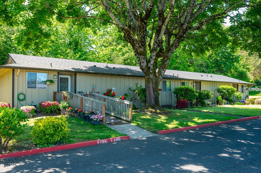 A tree stands in front of a building with a red curb.