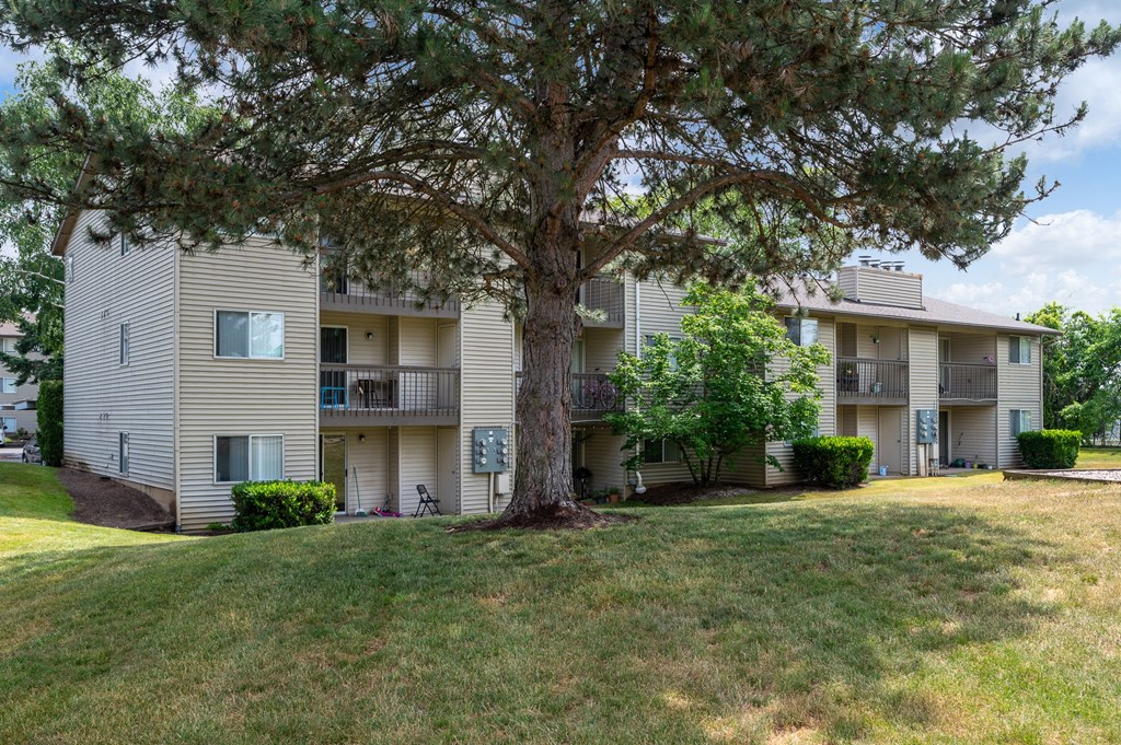 our apartments offer a clubhouse