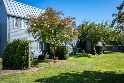 A house with a green lawn and trees in front.