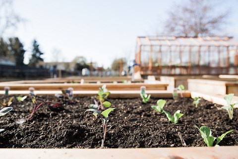 Fairhaven Garden Gardens