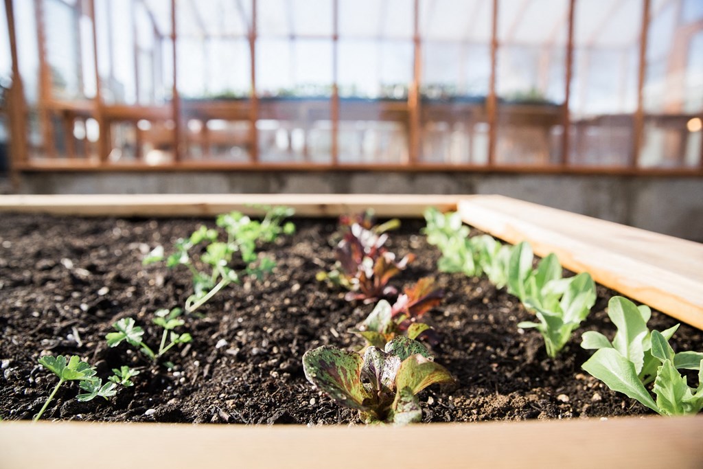 Fairhaven Garden Gardens