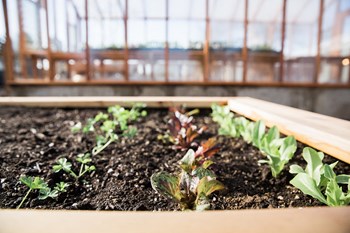 Fairhaven Garden Gardens - Photo Gallery 6