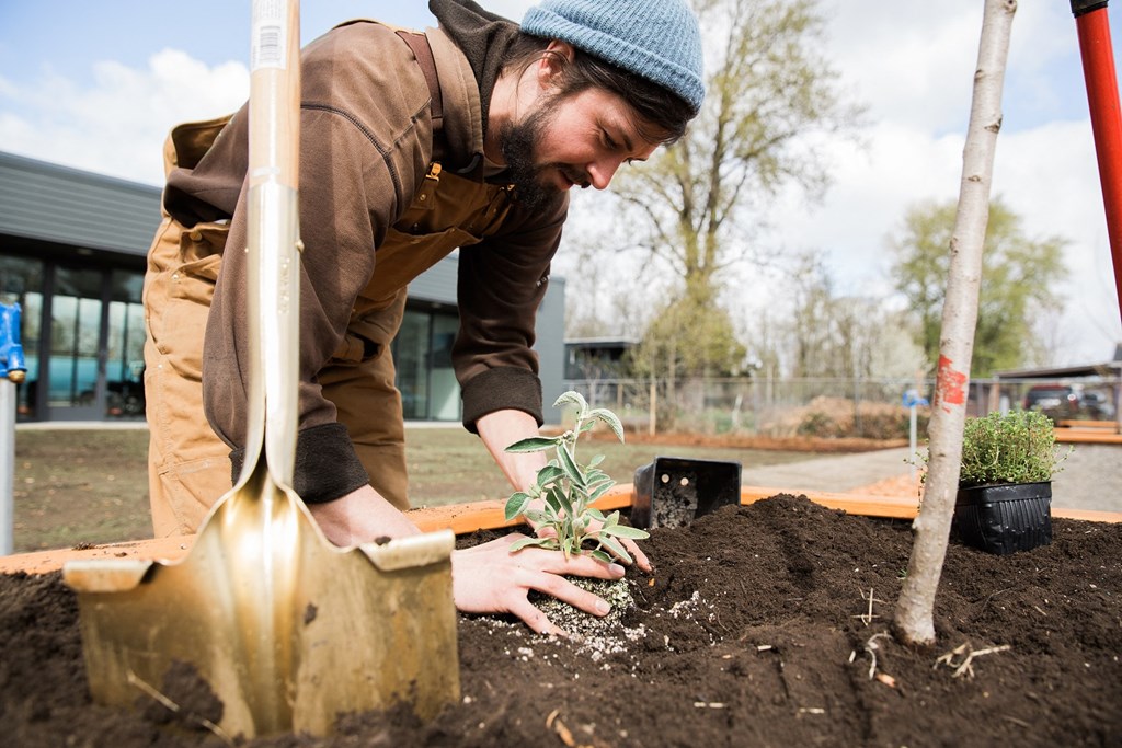 Fairhaven Garden Gardens