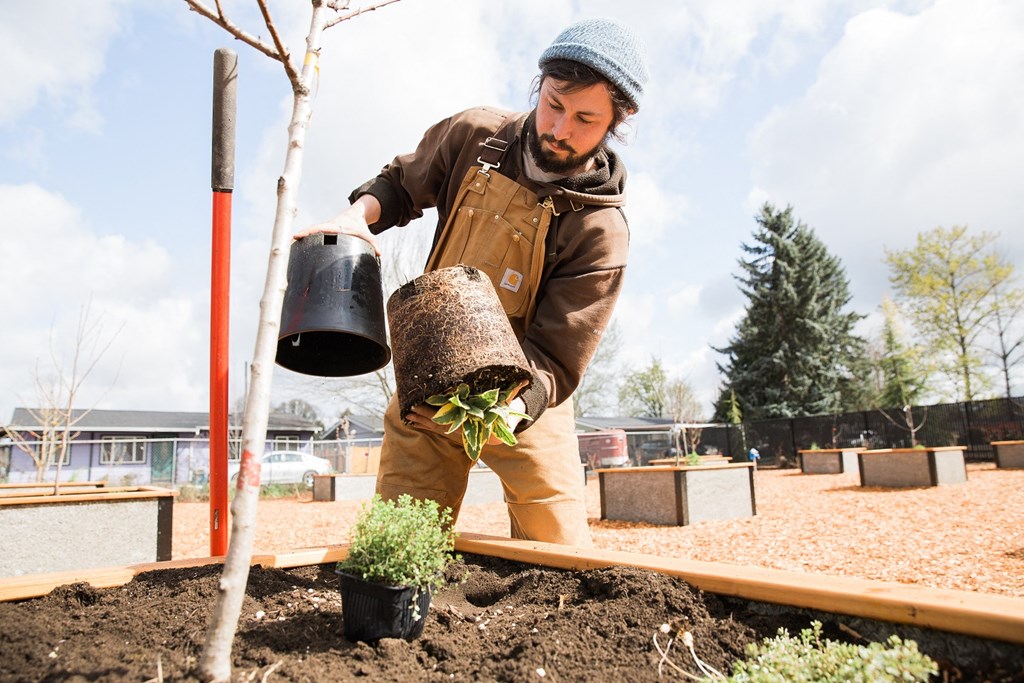 Fairhaven Garden Gardens
