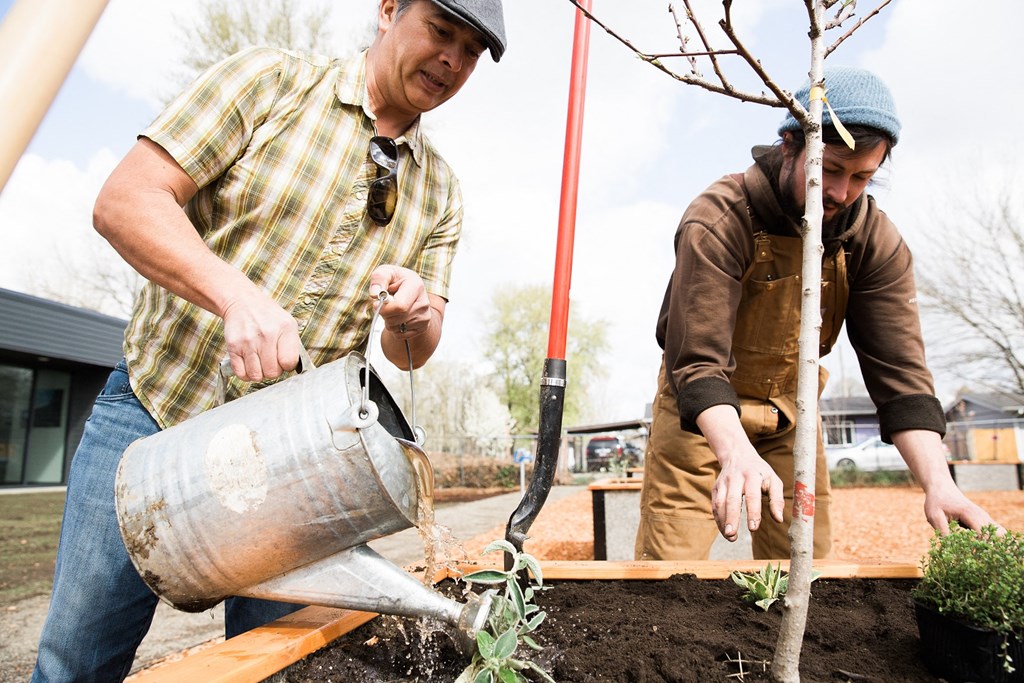 Fairhaven Garden Gardens