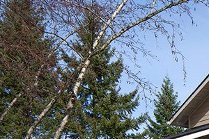 FarmingtonMeadows_Photo_Exterior - Photo Gallery 2