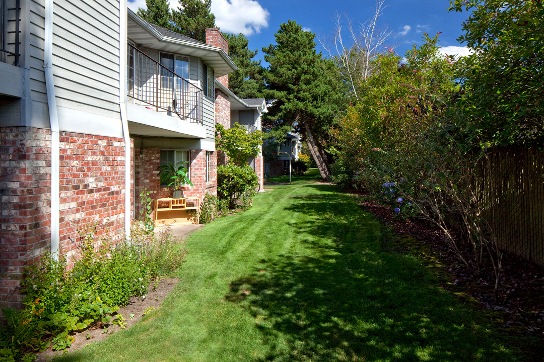 FirGrove_Photo_ Backyard