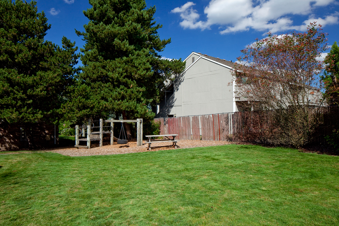 FirGrove_Photo_Playground